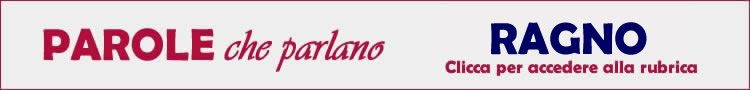 banner ragno-73898.jpg