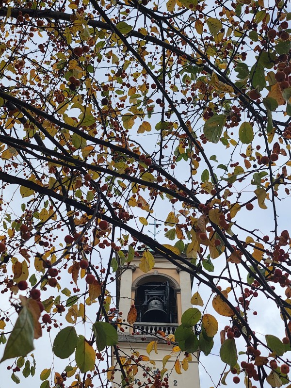 autunno.jpg (242 KB)