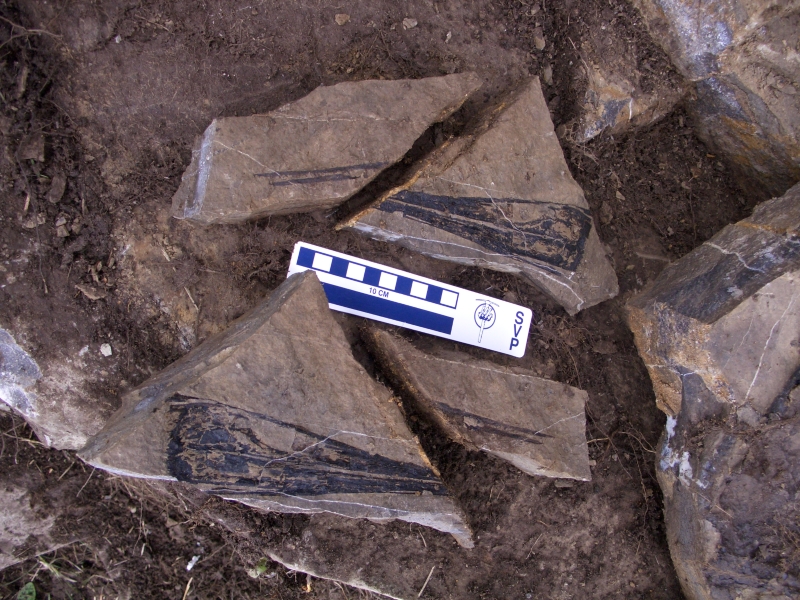 fossilitintori_01.jpg (493 KB)