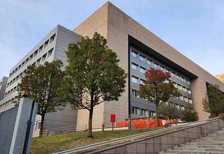 Grazie all'infaticabile personale di Ortopedia e Cure Subacute