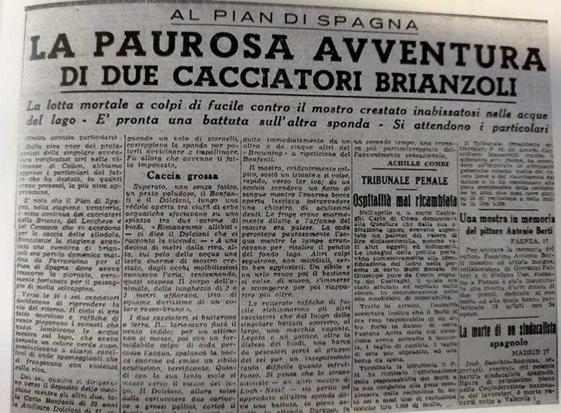 lariosauro__14_.jpg (167 KB)