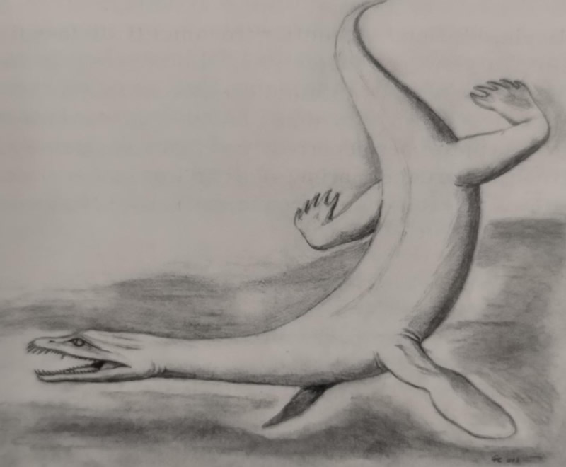 lariosauro__1_.jpg (46 KB)