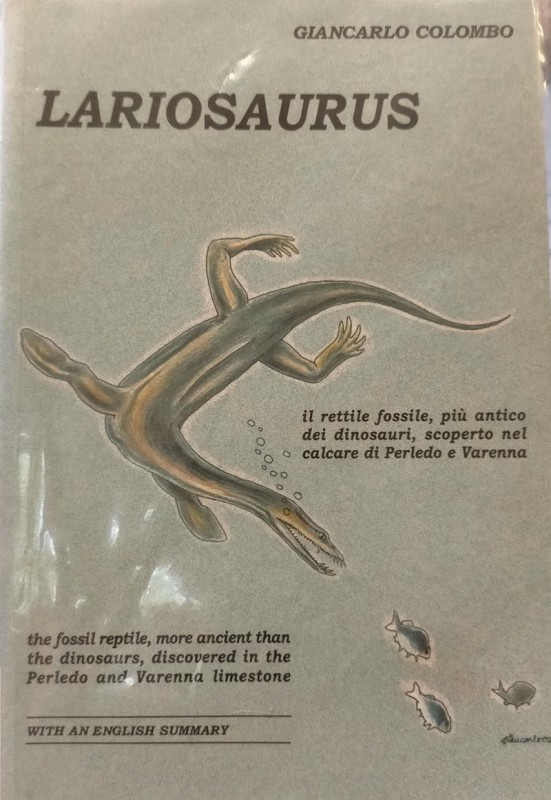 lariosauro__5_.jpg (97 KB)