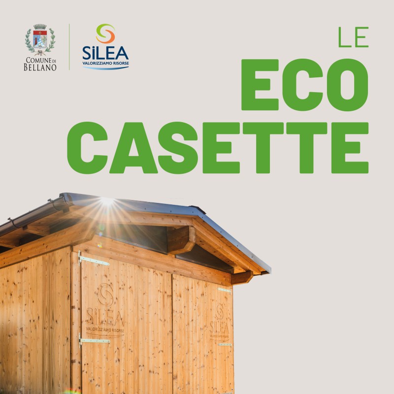 Ecocasette_flyer.jpg (79 KB)