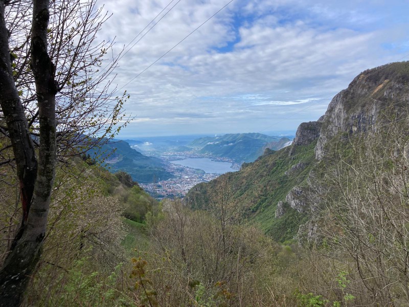 stradaresinelli5.jpeg (167 KB)