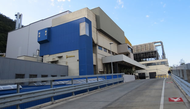 valma_silea1.jpg (50 KB)