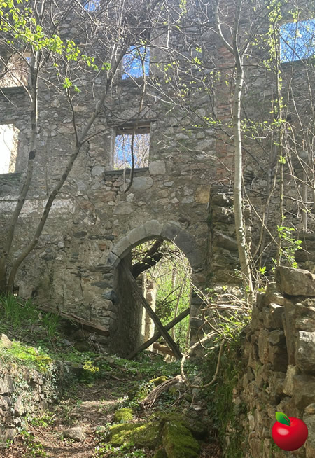 vedrognoossapresallo2.jpg (148 KB)