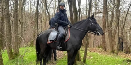 carabiniericavallopr.jpg (84 KB)