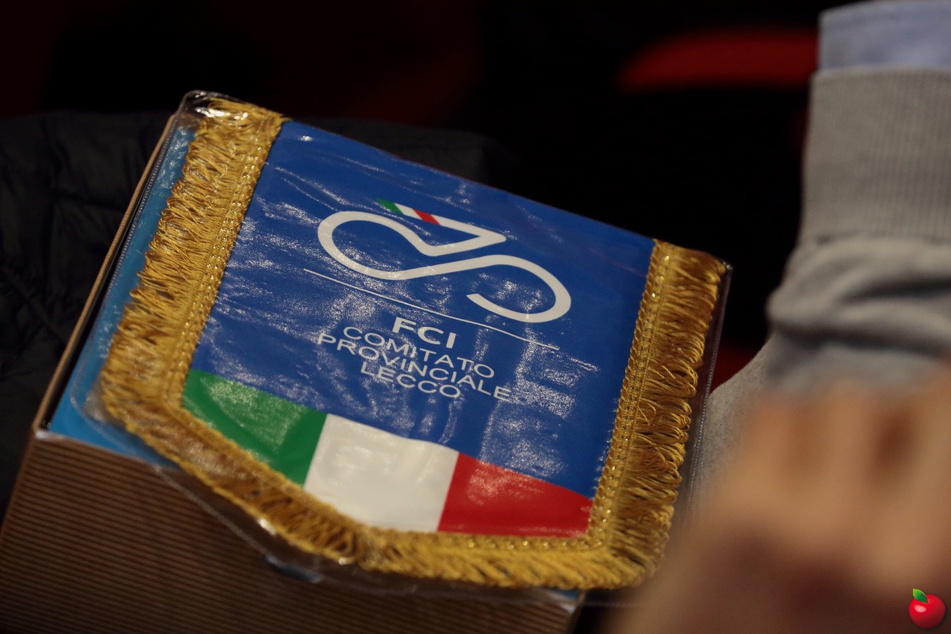 ciclismopremi0031.jpg (231 KB)