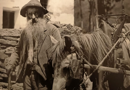 colicocontadina2pr.jpg (112 KB)