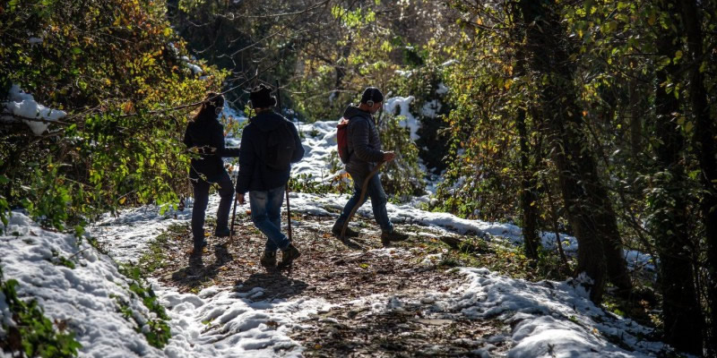 cortinamilanopr.jpg (152 KB)