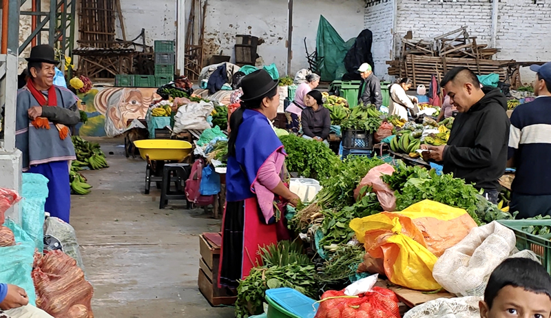 misak__1_.jpg (375 KB)