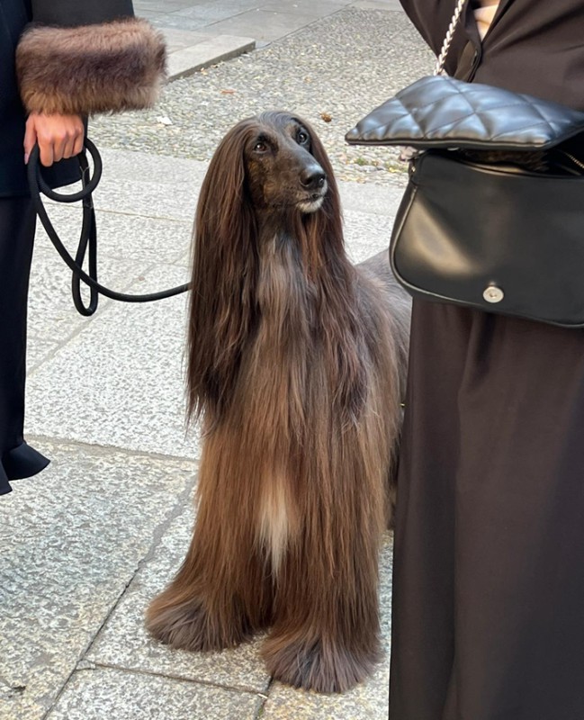 navarre__2_.jpg (134 KB)