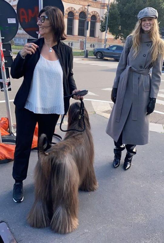 navarre__7_.jpg (109 KB)