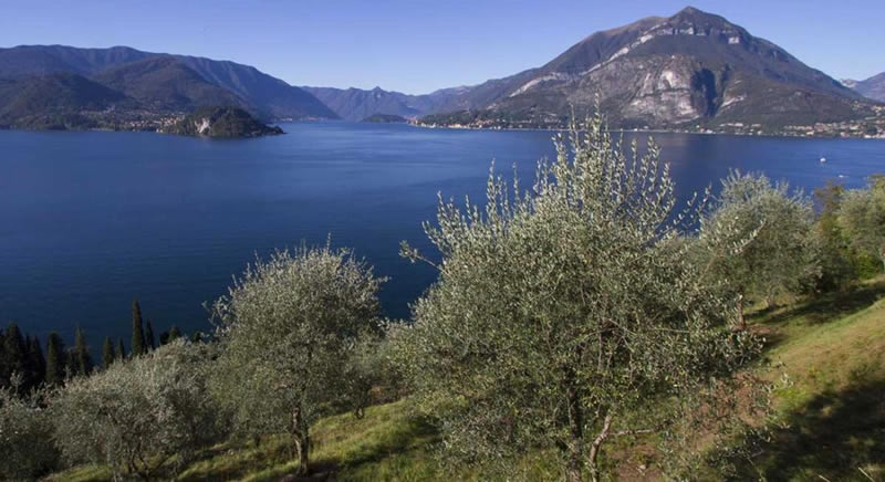 perledosentieri__2_.jpg (72 KB)