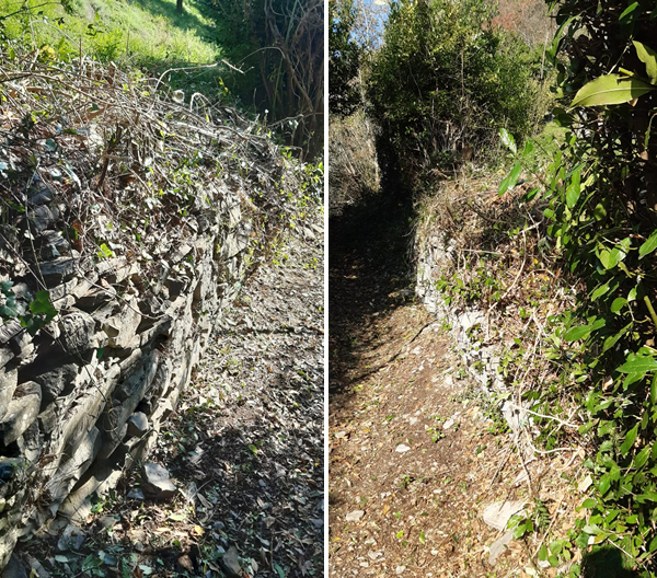 perledosentieri__4_.jpg (411 KB)