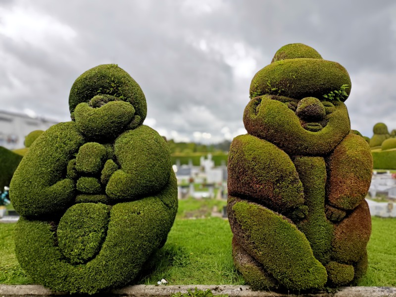 viaggiatoricolombia__3_.jpg (150 KB)