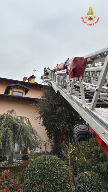 vvf23dic3.jpg (103 KB)