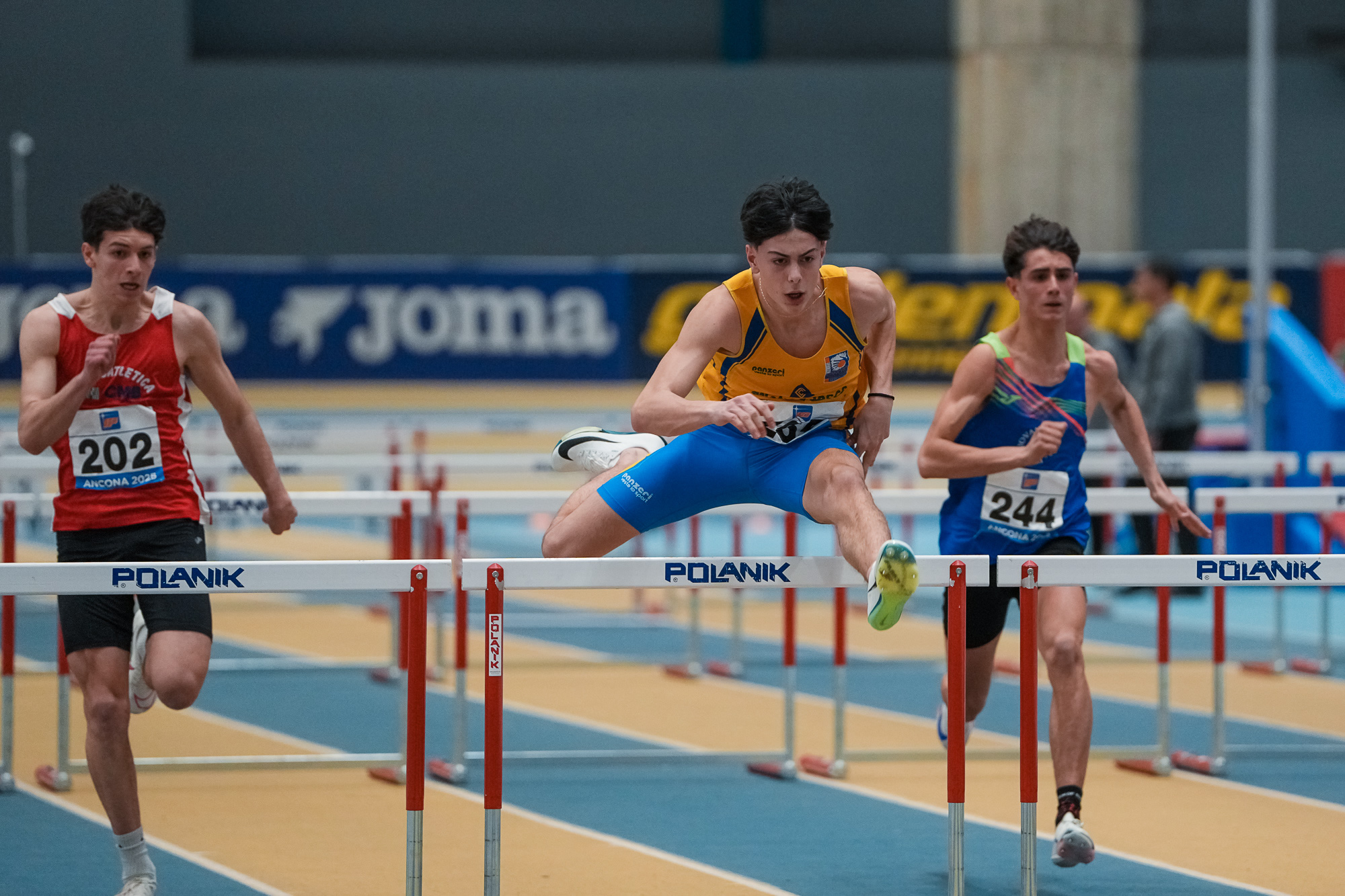 Filippo_Vedana_Ancona.jpg (839 KB)