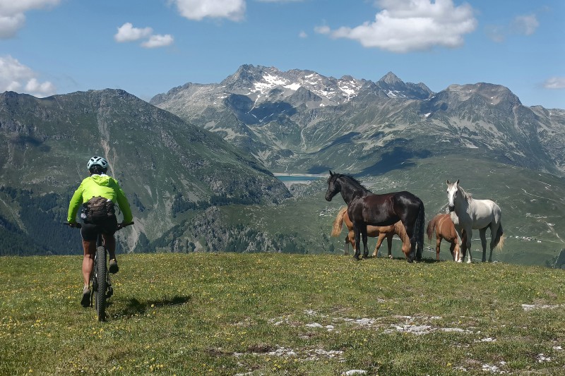 MTB_UOEI_Lecco_-_Pian_dei_Cavalli_16_.jpg (151 KB)