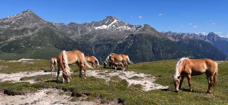 MTB_UOEI_Lecco_-_Pian_dei_Cavalli__10_.jpeg (102 KB)