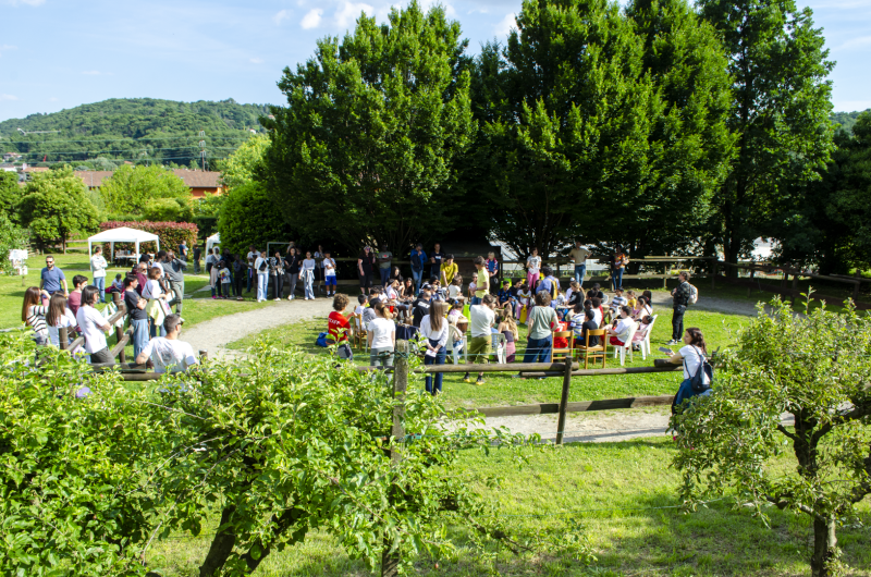 alleanza.PNG (1.03 MB)