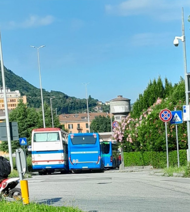 busboscagli.jpg (239 KB)