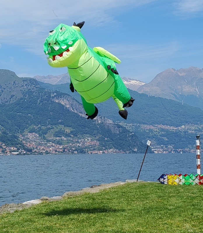 dervioaquiloni__7_.jpg (147 KB)