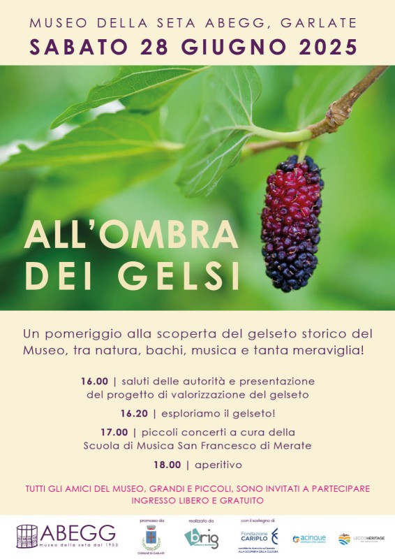 gelseto2.jpg (93 KB)