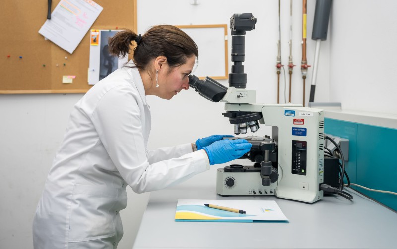 laboratorio_lario_reti_holding.jpg (66 KB)