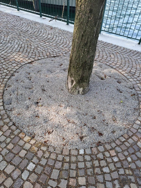 lungolagoriaperto2.jpg (233 KB)