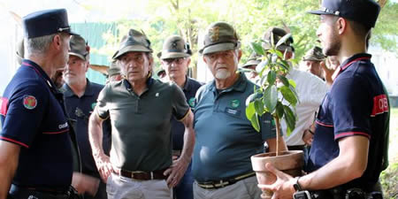 taleafalconepr.jpg (26 KB)