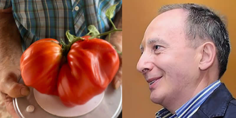 SementiGiovenzataPRIMA.jpg (33 KB)