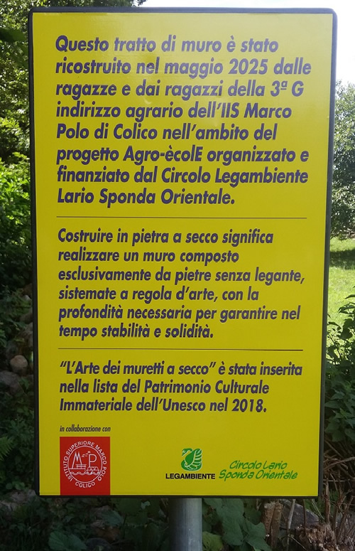 colicomuro__1_.jpg (175 KB)