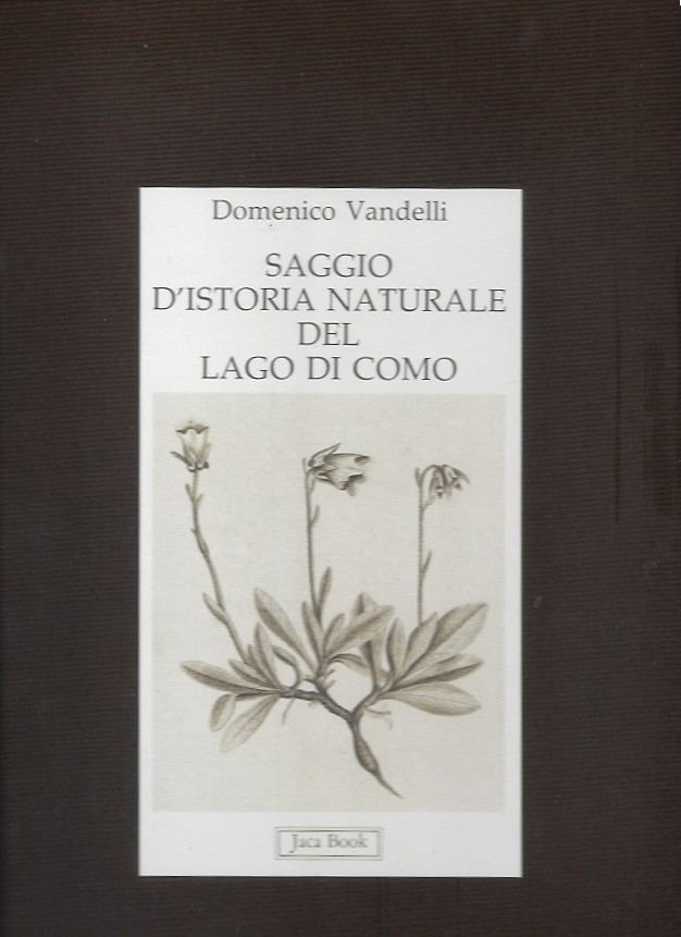 copertina_SAGGIO.jpg (82 KB)