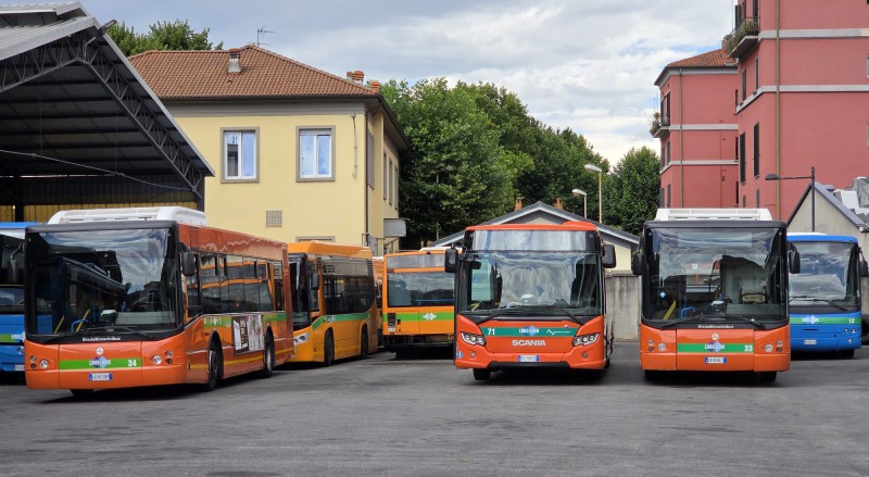 lineeleccobus1.jpg (232 KB)