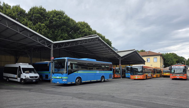lineeleccobus2.jpg (161 KB)