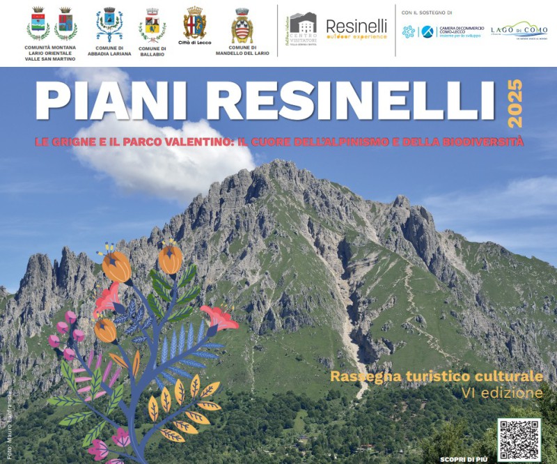 rassegnaresinelli.jpg (167 KB)