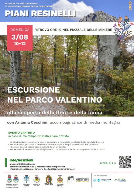resinelli3agosto1.jpg (132 KB)
