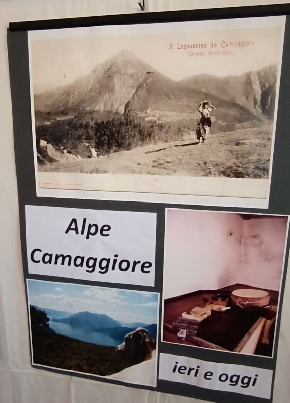 sangratomostra__7_.jpg (88 KB)