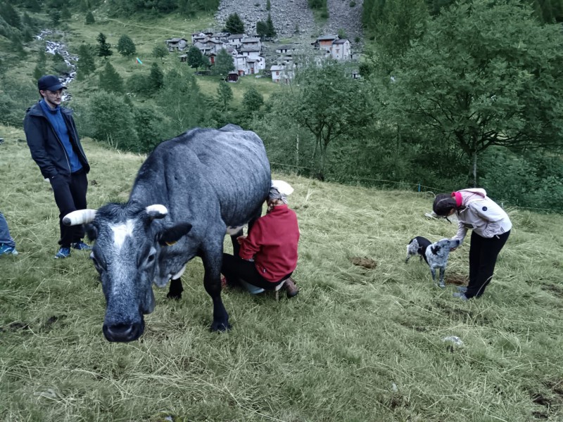 unisg__5_.jpg (175 KB)