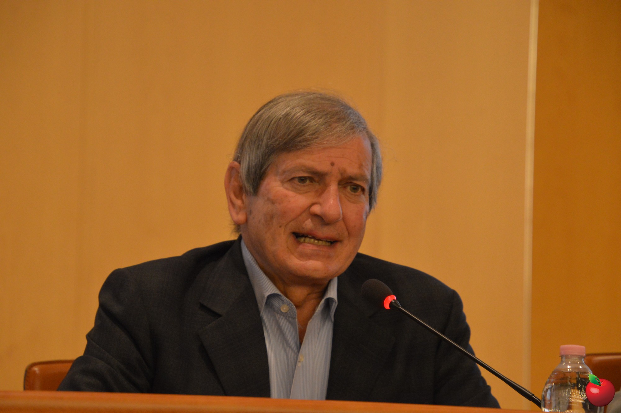 05_Gianni_Menicatti.jpg (367 KB)