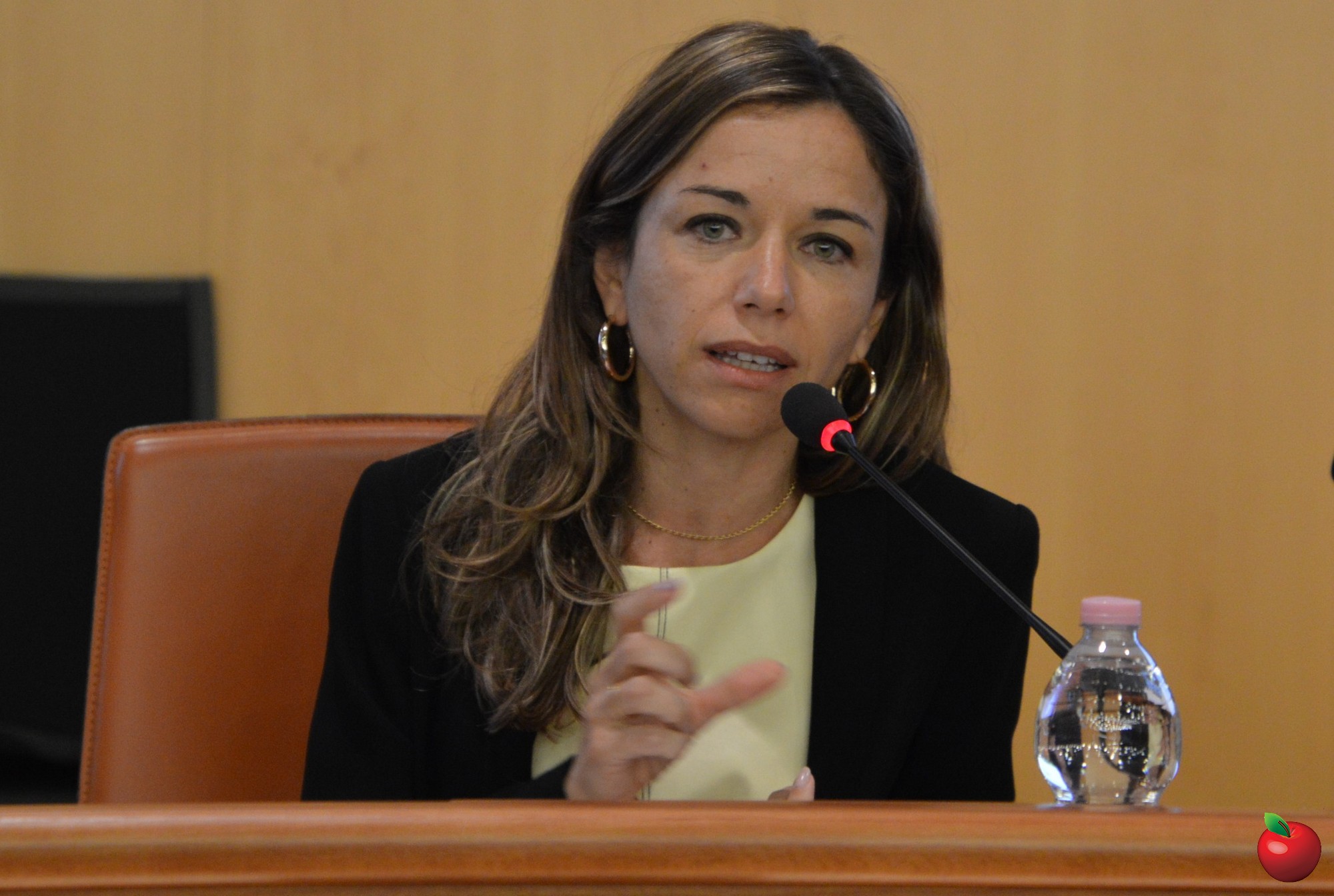 08_Veronica_Campogiani.jpg (372 KB)