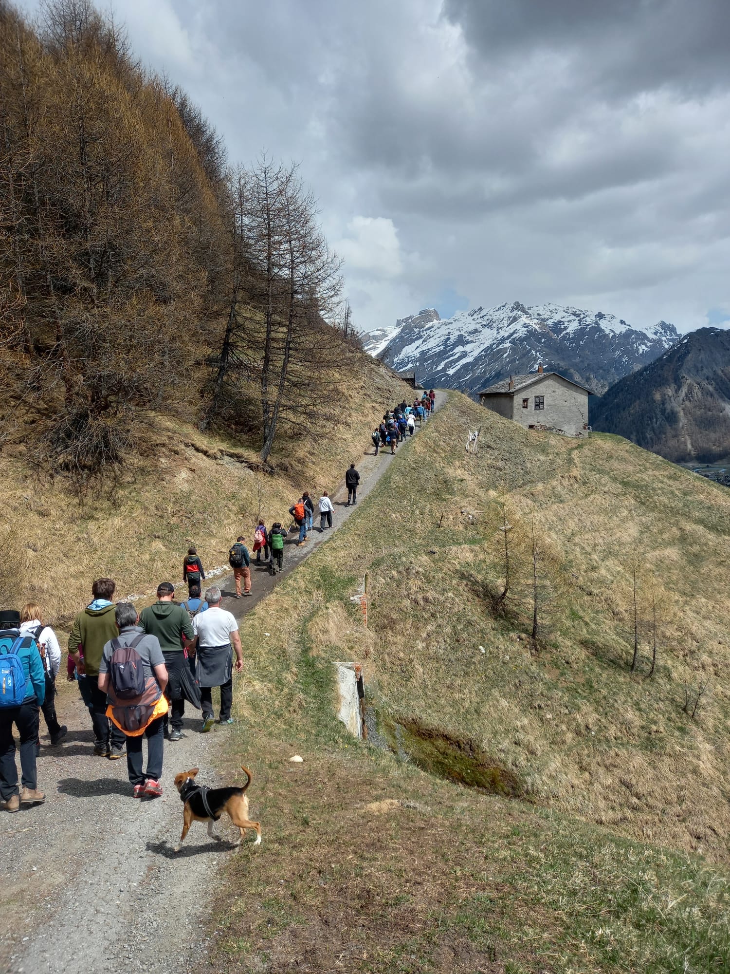 LivignoSlowGalbiate__9_.jpeg (676 KB)