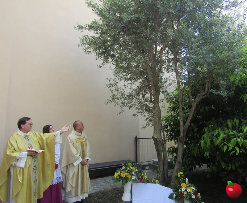 castellodonantonio__5_.jpg (147 KB)