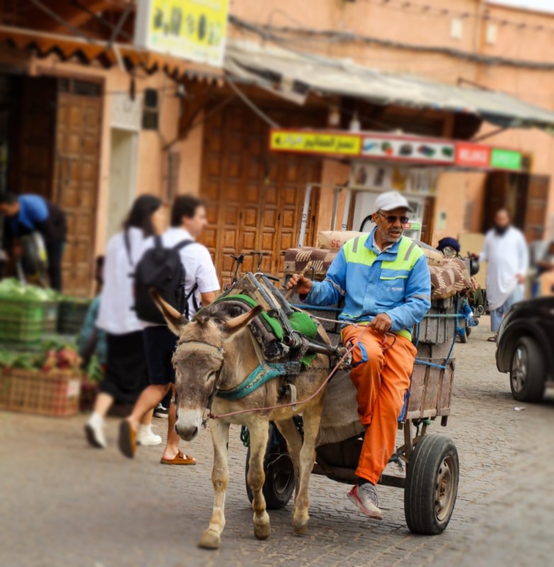 foto_1_Marrakech.jpg (126 KB)