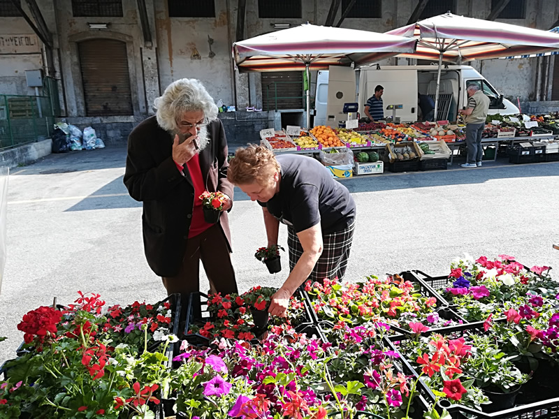 lecco_gina8.jpg (274 KB)