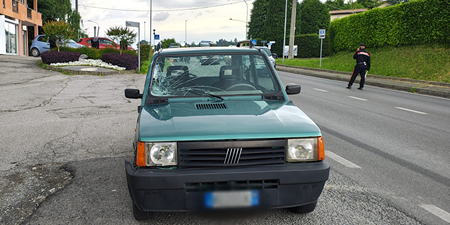 monticelloinvestimento5pr.jpg (96 KB)