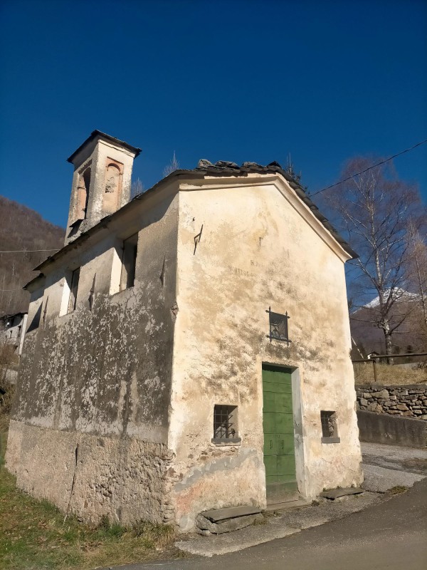 scaffalepeste__3_.jpg (125 KB)