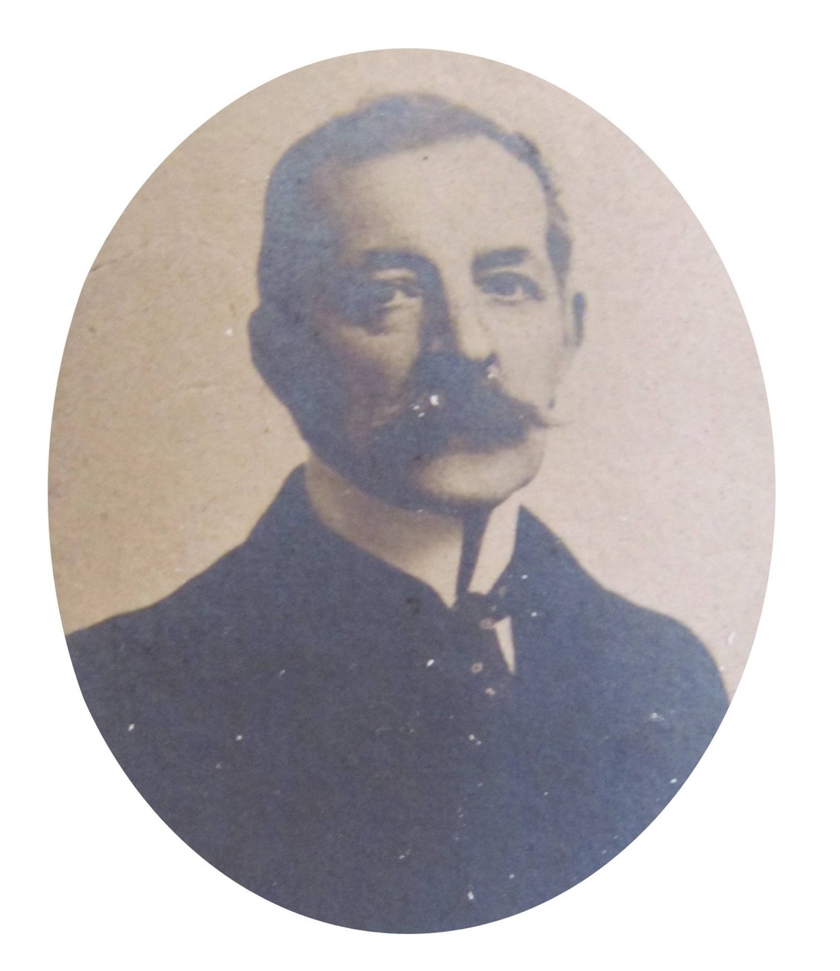 GIAN_RAIMONDO_SERPONTI_DI_MIRASOLE.jpg (269 KB)